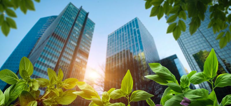 Évolution de la norme ISO 14001